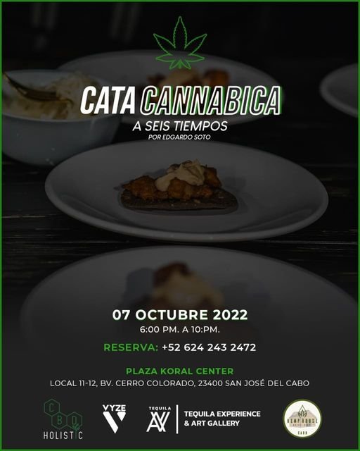 Cata Cannábica en San Jose del Cabo 07 de octubre 2022 cannatlan