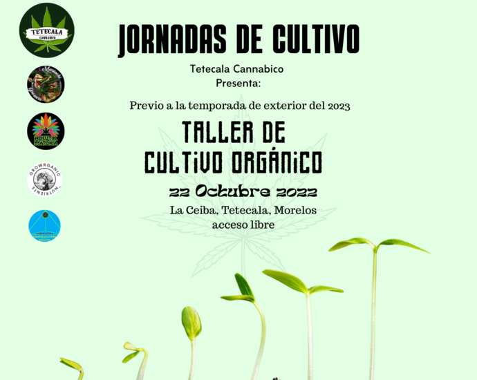 Taller de Cultivo Organico de Marihuana en Tetecala Morelos
