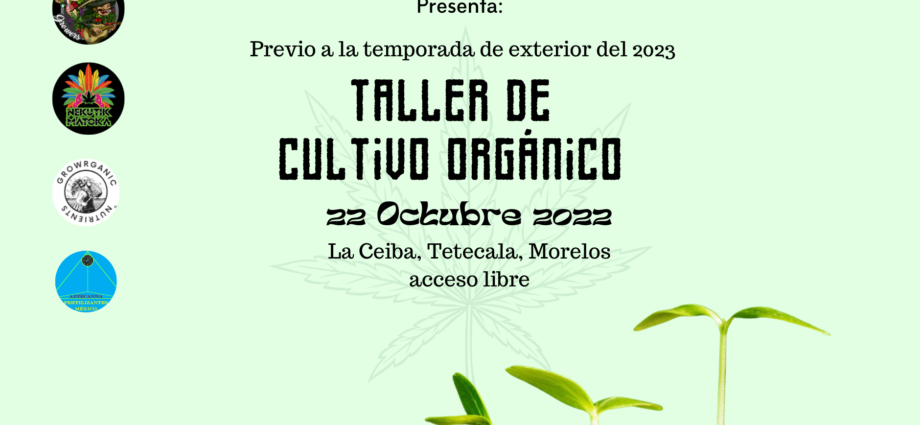 Taller de Cultivo Organico de Marihuana en Tetecala Morelos