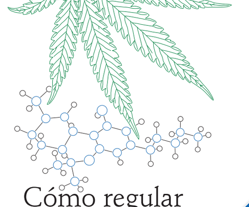 Como Regular el Cannabis en México Cannatlan