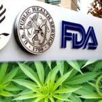 La FDA publica una guía final para el desarrollo de fármacos a partir del cannabis mientras los defensores esperan normas sobre el cáñamo y el CBD