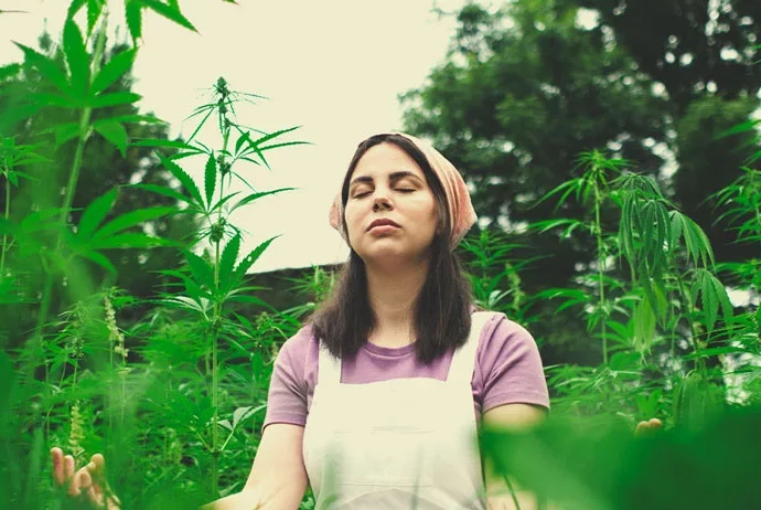 Explorando la conexión de la marihuana con la meditación cannatlan