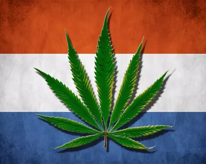 Holanda y el Cannabis