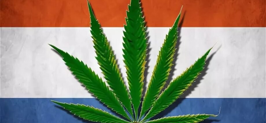 Holanda y el Cannabis