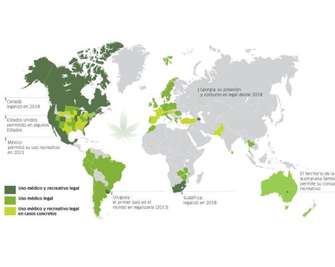 El mercado de cannabis legal: desafíos y oportunidades