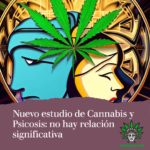 Nuevo estudio de Cannabis y Psicosis: no hay relación significativa