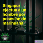 Singapur ejecuta a hombre por posesiòn de cannabis