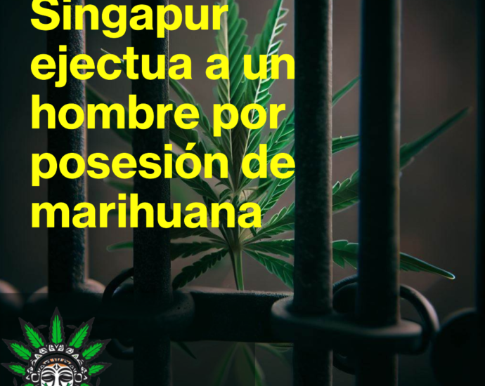 Singapur ejecuta a hombre por posesiòn de cannabis