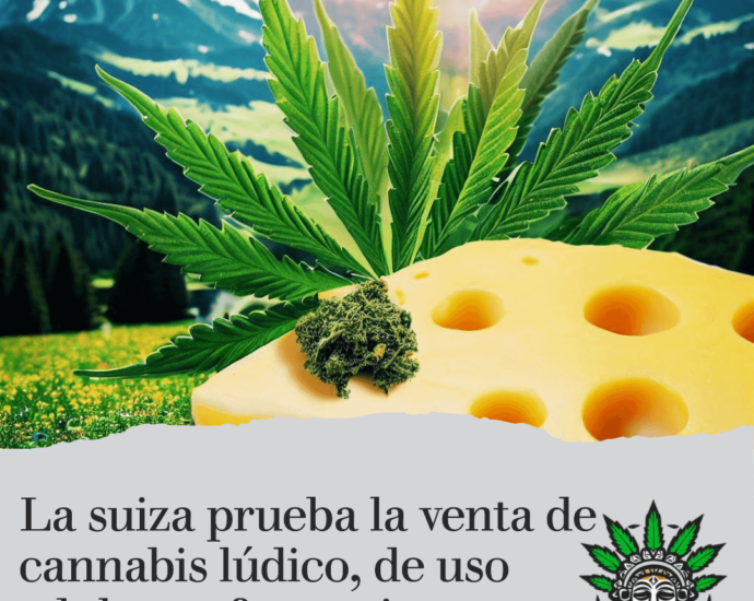 Suiza aprueba programa piloto para venta de cannabis recreativo en farmacias