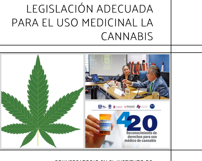 México, aún lejos de una legislación adecuada para el uso medicinal de la cannabis