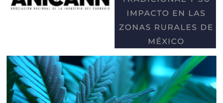 En los últimos años, el cannabis ha ganado protagonismo en el ámbito de la medicina tradicional, generando un intenso debate en muchos países. México, rico en tradiciones y conocimientos ancestrales, no es ajeno a esta discusión. A medida que se amplía la investigación científica sobre los posibles beneficios medicinales del cannabis, es importante explorar su uso en la medicina tradicional mexicana y su impacto en las zonas rurales del país. La medicina tradicional en México tiene una larga historia de uso de plantas medicinales para tratar diversas enfermedades y afecciones. El cannabis, conocido como "marihuana" en términos populares, ha sido utilizado durante siglos por diversas culturas en el país para aliviar dolores, reducir inflamaciones y tratar otros malestares físicos y mentales. La planta de cannabis contiene compuestos químicos llamados cannabinoides, que interactúan con los receptores cannabinoides en el cuerpo humano, lo que puede resultar en efectos terapéuticos. Uno de los cannabinoides más estudiados es el cannabidiol (CBD), que se ha asociado con propiedades analgésicas, antiinflamatorias y neuroprotectoras, entre otras. En las zonas rurales de México, donde el acceso a la atención médica convencional puede ser limitado, el uso del cannabis en la medicina tradicional desempeña un papel crucial en el cuidado de la salud. Las comunidades rurales a menudo han conservado conocimientos ancestrales sobre las propiedades medicinales de las plantas, incluido el cannabis. Su cultivo y uso en estas áreas pueden proporcionar a las comunidades rurales una alternativa accesible para tratar diversas afecciones. Además, su producción podría generar oportunidades económicas para estas regiones, promoviendo el desarrollo sostenible y la mejora de la calidad de vida de sus habitantes. A pesar de los posibles beneficios del uso del cannabis en la medicina tradicional, en las zonas rurales existen desafíos que deben abordarse, como la regulación y la educación, fundamentales para garantizar un uso responsable y seguro. Es necesario establecer marcos legales que permitan el cultivo y la producción controlada de cannabis para uso medicinal, al mismo tiempo que se evita su uso indebido. Además, es crucial invertir en investigación científica y estudios clínicos que respalden la eficacia y seguridad del cannabis en el contexto de la medicina tradicional. Esto ayudaría a desmitificar estigmas y prejuicios asociados con su uso y proporcionaría información precisa y confiable tanto para los profesionales de la salud como para las comunidades rurales. México cuenta con varios estados que tienen una larga historia de producción de cannabis ilegal, principalmente en zonas rurales, donde la mayor parte de las cosechas se utilizan de forma recreativa y una pequeña parte de forma medicinal. Los mayores productores son Sinaloa, Guerrero y Michoacán; los cuales han destacado debido a sus regiones montañosas y las condiciones climáticas favorables que han permitido el cultivo de grandes cantidades de cannabis en áreas rurales de difícil acceso. Sin embargo, la producción de cannabis también ha estado relacionado con la violencia y la inseguridad en la región; así como también ha generado conflictos y disputas territoriales en algunas áreas rurales. La ilegalidad de la producción genera impactos negativos, por ejemplo en su economía, ya que a menudo se realiza de manera clandestina y sin considerar las prácticas agrícolas sostenibles. Esto puede resultar en la deforestación, el uso indiscriminado de productos químicos y la contaminación del suelo y el agua, teniendo impactos negativos en el medio ambiente y la biodiversidad de las zonas rurales. La producción de cannabis ilegal puede obstaculizar el desarrollo comunitario en las zonas rurales. La falta de inversión y el estigma asociado con esta actividad limitan el acceso a servicios básicos, como educación, salud e infraestructura, así como dirigir oportunidades de desarrollo económico legítimo. Por otro lado, México ya cuenta con algunos estados como Oaxaca y Morelos, que están produciendo cannabis de manera legal y con fines medicinales, por medio de algunos permisos que otorgo COFEPRIS a la Asociación Indígena de Productores de la Cannabis y otros por medio de amparos que se han solicitado por empresas y de forma personal. La producción legal de cannabis con fines medicinales en México tiene el potencial de generar un impacto positivo en las zonas rurales, especialmente en términos de desarrollo económico, acceso a servicios de salud y desarrollo comunitario. Es importante destacar que la discusión sobre la producción de cannabis en México está en constante evolución, y el país ha experimentado cambios significativos en su marco legal en los últimos años. La legalización y regulación controlada del cannabis podría ofrecer una alternativa más segura y beneficiosa tanto para las zonas rurales como para el país en su conjunto, permitiendo un mejor control, desarrollo económico y atención a la salud de las comunidades rurales. El uso del cannabis en la medicina tradicional representa una valiosa oportunidad para mejorar la atención médica y promover el desarrollo. Los beneficios terapéuticos de esta planta, combinados con el conocimiento ancestral y la tradición cultural, pueden brindar opciones de tratamiento más accesibles y sostenibles para las comunidades rurales de México. Sin embargo, es crucial establecer una regulación adecuada que garantice la calidad y seguridad de los productos derivados del cannabis, al tiempo que se protegen los derechos de las comunidades tradicionales. Asimismo, se debe invertir en educación y concientización para promover un uso responsable y aprovechar al máximo los beneficios terapéuticos del cannabis. La medicina tradicional y el uso del cannabis tienen un potencial aún por explorar y aprovechar en México. Es hora de abrirnos a nuevas posibilidades y trabajar juntos para brindar a las comunidades rurales una atención médica más integral y mejorar su calidad de vida. **http://www.anicann.org/** La ANICANN es una organización que busca promover el desarrollo de la industria del cannabis en México, tanto para fines medicinales, recreativos e industriales. Fue fundada en 2018 por un grupo de empresarios y activistas que ven el potencial económico, social y ambiental de esta planta. La ANICANN ofrece información, asesoría, capacitación y representación a sus asociados, así como a las autoridades y a la sociedad en general. Su visión es que México se convierta en un líder mundial en la producción y comercialización de productos derivados del cannabis, con altos estándares de calidad, seguridad y responsabilidad social. La ANICANN ha participado activamente en el debate sobre la regulación del cannabis en México, presentando propuestas legislativas, organizando eventos, difundiendo noticias y generando alianzas con otros actores del sector.