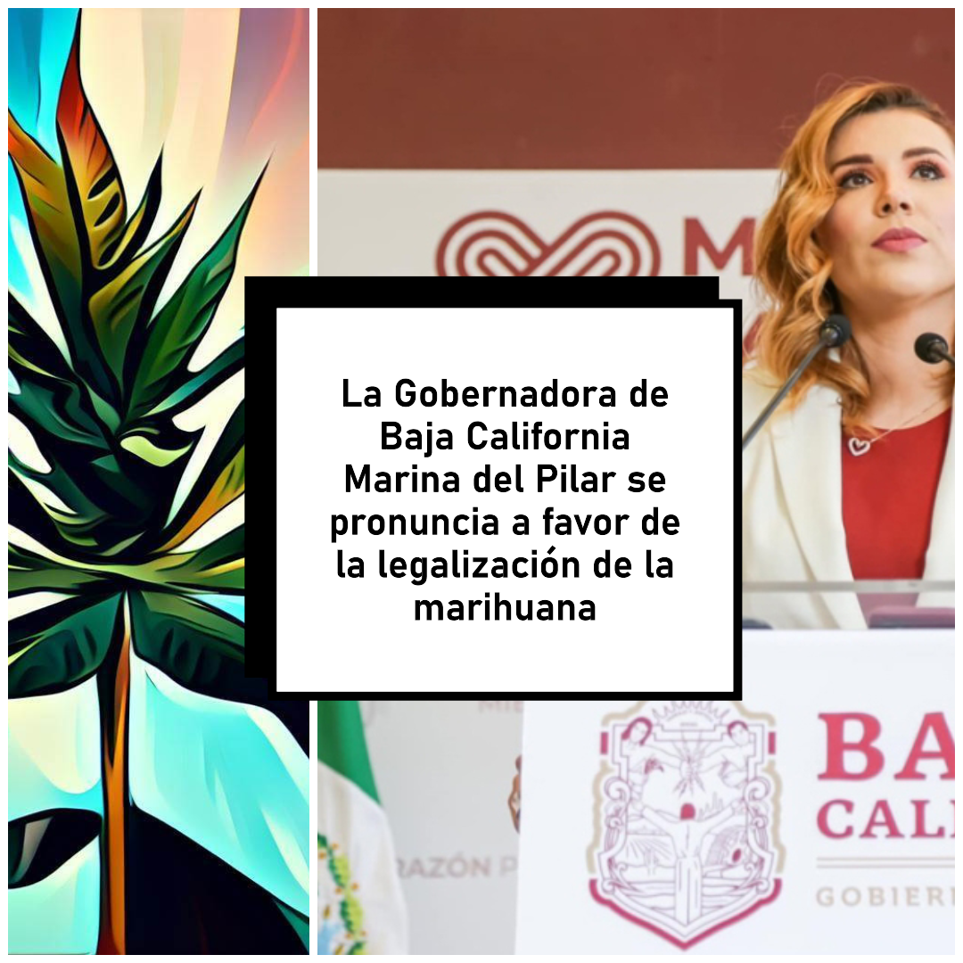 La Gobernadora de Baja California Marina del Pilar se pronuncia a favor ...