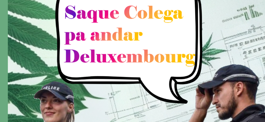 El consumo de cannabis por parte de oficiales de policía en Luxemburgo ha sido tema de controversia en los últimos días. Aunque la posesión y el consumo de cannabis están permitidos en ciertas condiciones, existen límites y restricciones para garantizar la responsabilidad y ética de los oficiales en sus funciones. ¡Infórmate más sobre esta situación en nuestro sitio web! #Luxemburgo #cannabis #policía #legalización #drogas #responsabilidad