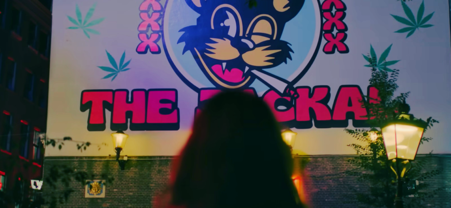 Amsterdam Empire: Serie de Netflix sobre el Mundo Secreto de los Coffee Shops Holandeses