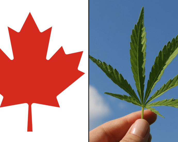 La Industria del Cannabis en Canadá: Un Motor Económico que México Debe Observar