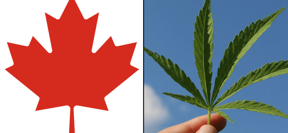 La Industria del Cannabis en Canadá: Un Motor Económico que México Debe Observar